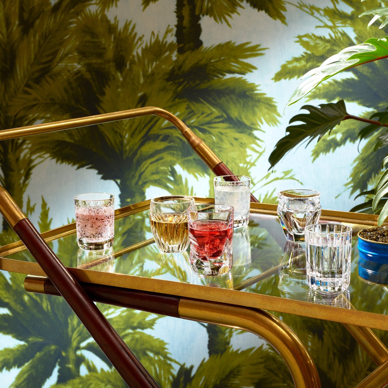 Baccarat Everyday Les Minis Shot Set