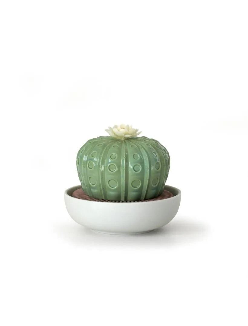 Astrophytum Cactus Diffuser - FormFluent