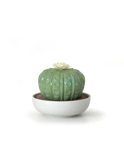  Lladró Astrophytum Cactus Diffuser Gardens of Valencia Scent by Lladró at  FormFluent