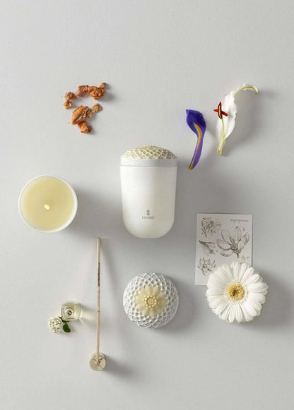  Lladró Echoes of Nature Decorative Candle - Tropical Blossoms Scent by Lladró at  FormFluent
