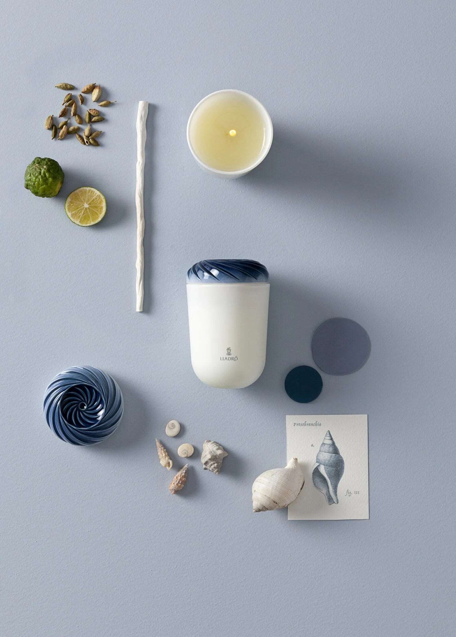 Echoes of Nature Candle - FormFluent