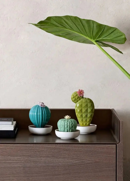  Lladró Opuntia Cactus Diffuser Scent by Lladró at  FormFluent