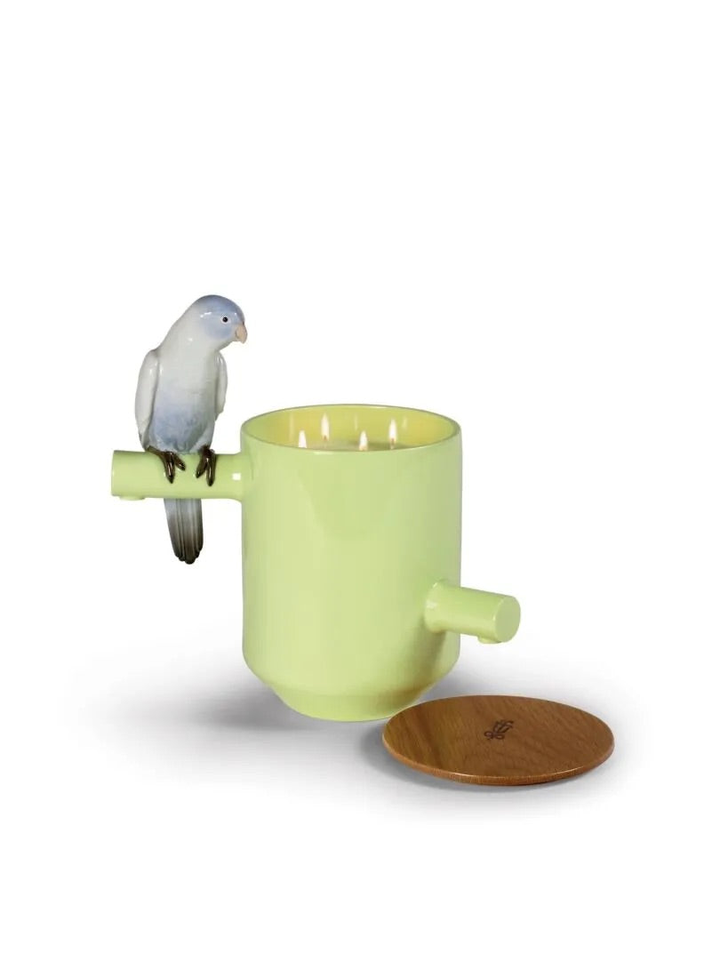 Parrot's Scented Treasure Green Candle - FormFluent