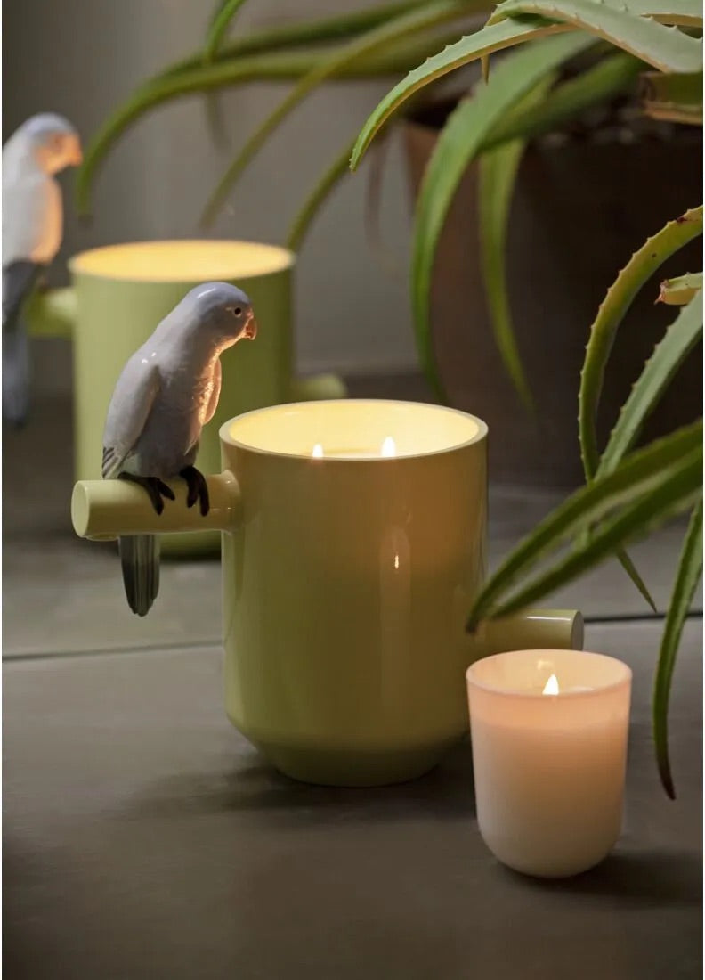Parrot's Scented Treasure Green Candle - FormFluent