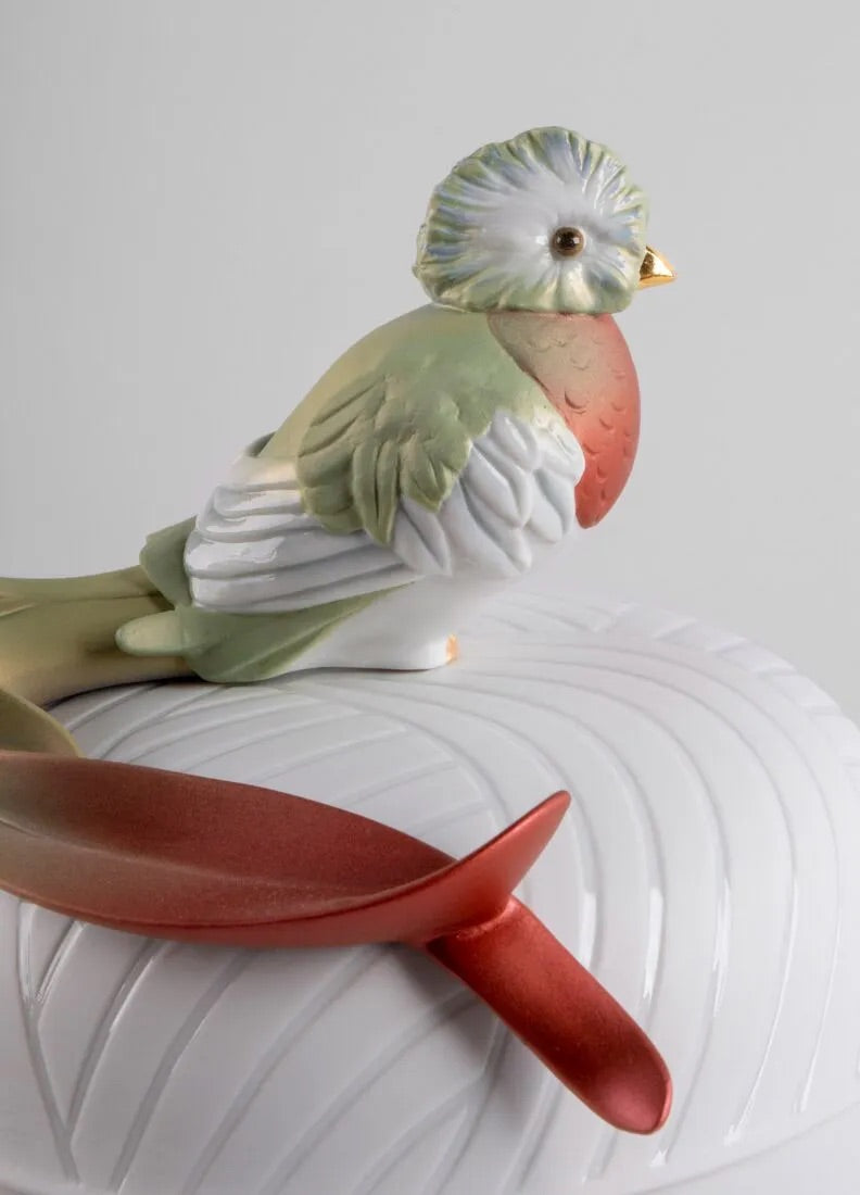 Quetzal Bird Box - FormFluent