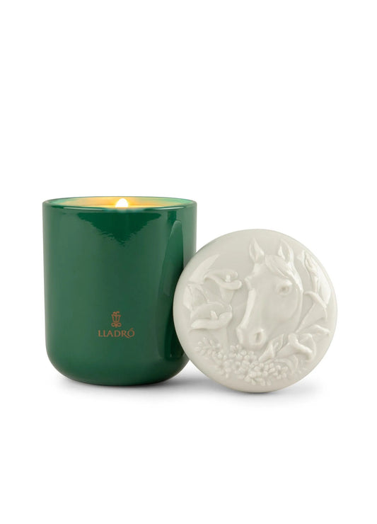 Zodiac Scented Candles Collection