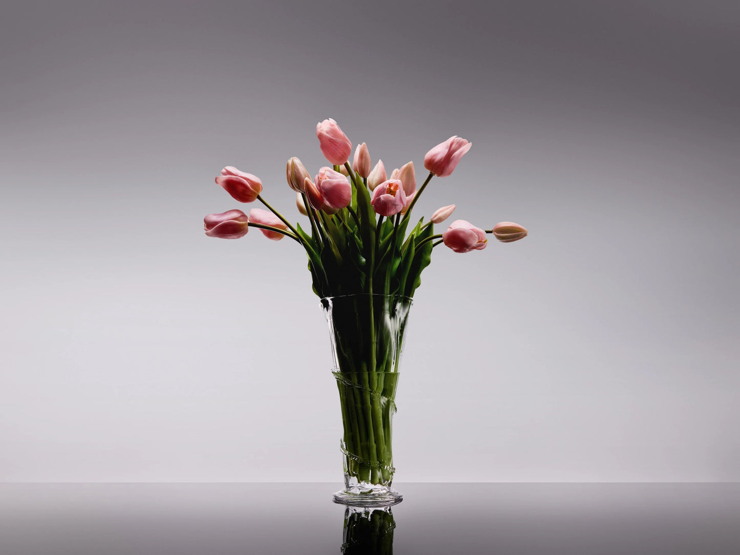 Sadele Tulips - Pale Pink Long Stem