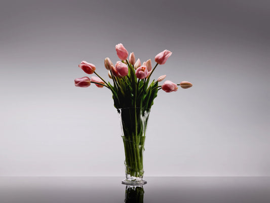 Sadele Tulips - Pale Pink Long Stem