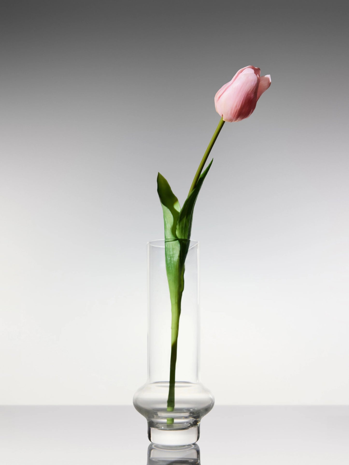 Sadele Tulips - Pale Pink Long Stem