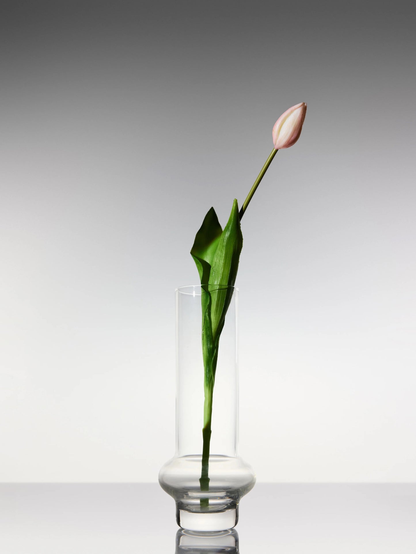 Sadele Tulips - Pale Pink Long Stem