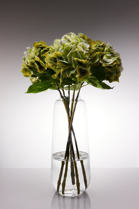 Sadele Hydrangeas - Olive Green