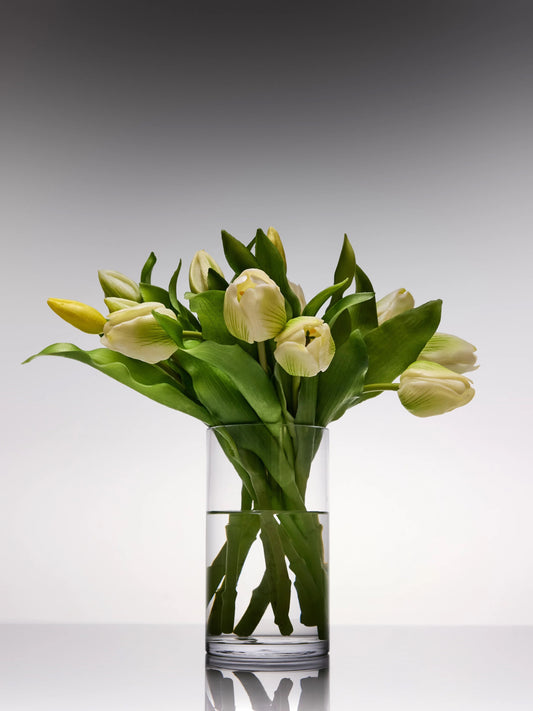 Sadele Tulips - White Short Stem