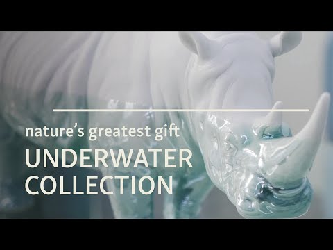 Youtube video of Lladro's Underwater collection. The text on the thumbnail reads: Nature's greatest gift - Underwater collection. 