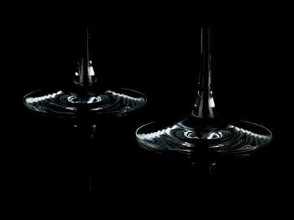 Baccarat Château Baccarat White and Red Wine Tasting Glasses